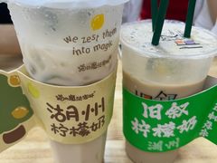 -猫的魔法密林(衣裳街店)