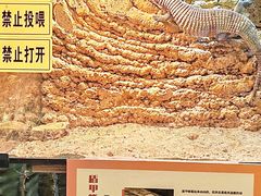 -松江科技馆