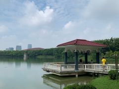 -云溪植物园