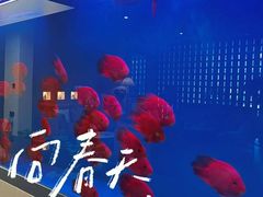 -宫七SPA·高端Massage(浦东大道店)