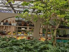 -南宫五洲植物乐园