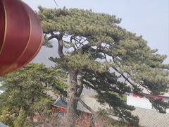 -妙峰山风景名胜区
