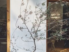 门面-COTTON CAFE(德信·中外公寓店)