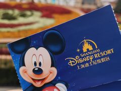 -上海迪士尼度假区