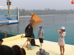 -秦皇岛乐岛海洋王国