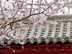 -碑林公园