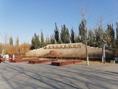 -永定河休闲森林公园