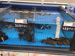 -信誉楼(新乐店)
