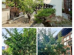 -青果巷历史文化街区