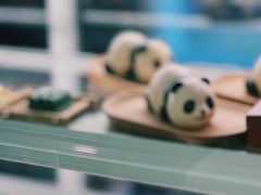 -轩客会(熊猫书店)