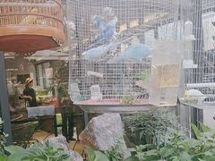 -蘇河湾·新鲁菜·泰山宴(泰山店)