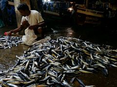 -尼甘布海鲜市场