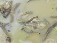 -楚鱼王·河鲜·湖北菜(华农店)