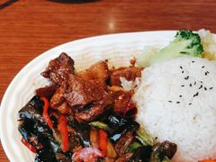 红烧肉饭-好嫂子(知春路店)