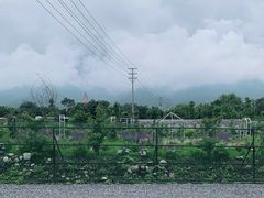 -猫米花园