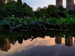 -龙头寺公园