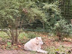 -上海动物园(地铁站)