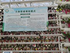 -兰陵国家农业公园