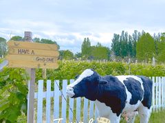 -安德鲁户外烧烤帐篷营地(马泉营店)