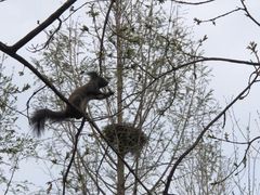 -北京植物园南门售票处