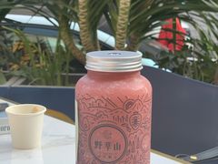 -野萃山·潮汕厚果汁(十亩地店)
