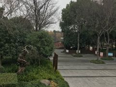 -陈家山荷花公园