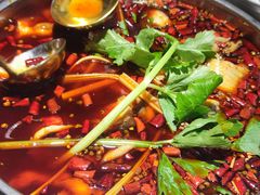 -蛙蛙鸡冷锅鱼(驷马桥店)