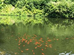 -天女山森林公园