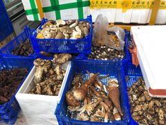 -青石桥市场北1-27号