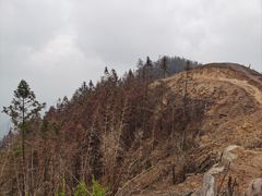 -缙云山景区