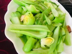 -新合益乡村农庄