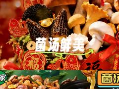 -菌之家·专业纯野生菌火锅·特色炒菌