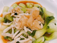 竹笙扒时蔬-白云宾馆·白云宴餐厅