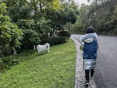 -张坝桂圆林公园