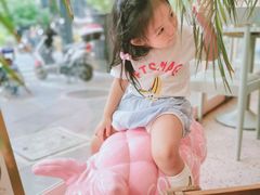 -WHEN PIGS FLY当猪飞