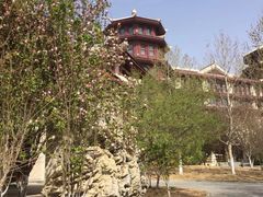 -仁爱团泊湖温泉中心