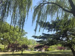 -太阳宫公园
