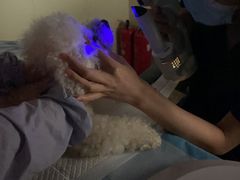 -美联众合动物医院·24h转诊中心