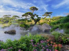 -罗红摄影艺术馆