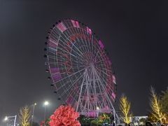 -南昌之星摩天轮