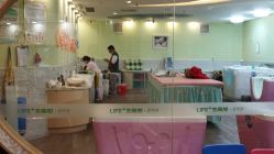 -生命加•Q考拉月子会所(玫瑰园店)