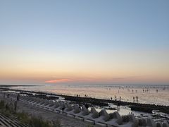 -南汇新城海滩