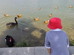 -河北省园博园