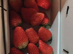 -上海龙吴水胜海发市场