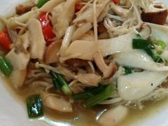 什锦菌菇-苍洱春饭店