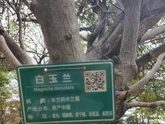 -中国移动南方基地