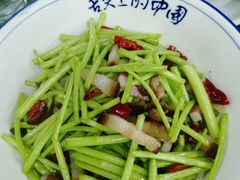 -张氏父子常德肠子馆(红星总店)