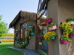 -南通洲际绿博园