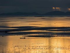 -北岐滩涂