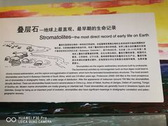 -辽宁古生物博物馆